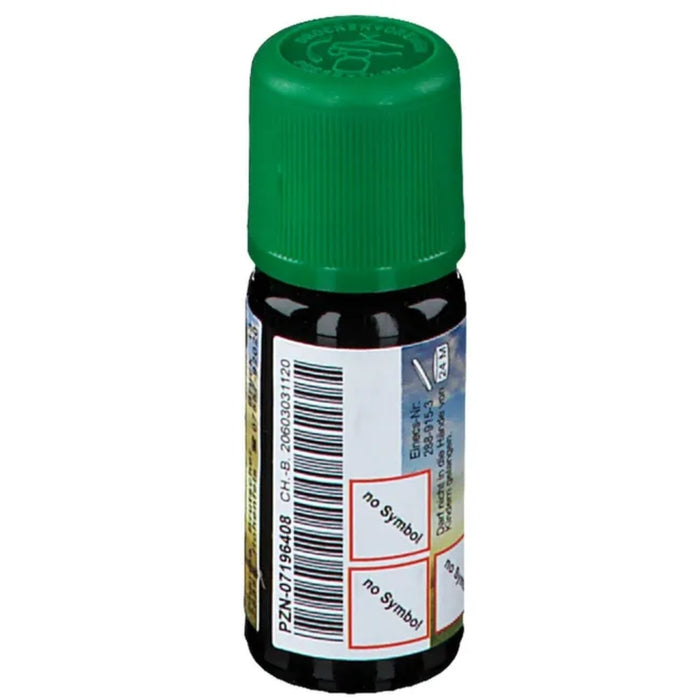 CHRÜTERMÄNNLI Birkenteeröl, 10 ml Oil