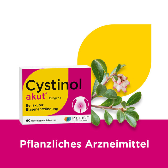 Cystinol akut Dragees bei Harnwegserkrankungen, 60 pcs. Tablets