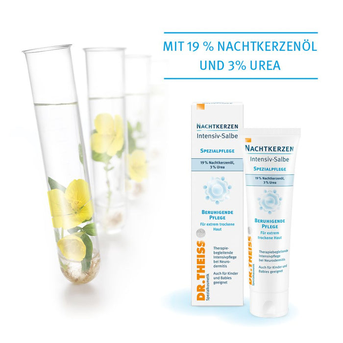 DR. THEISS Nachtkerzen Intensiv-Salbe, 50 g Onguent
