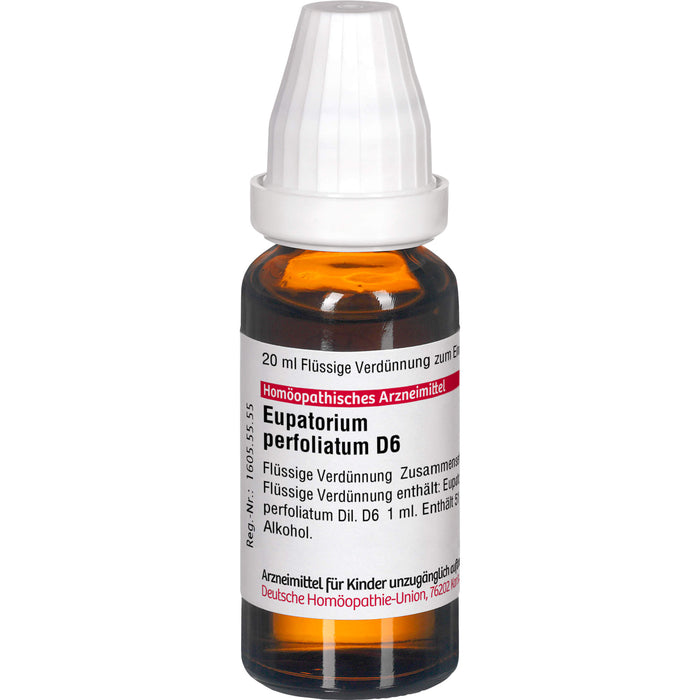 Eupatorium perfoliatum D6 DHU Dilution, 20 ml Solution