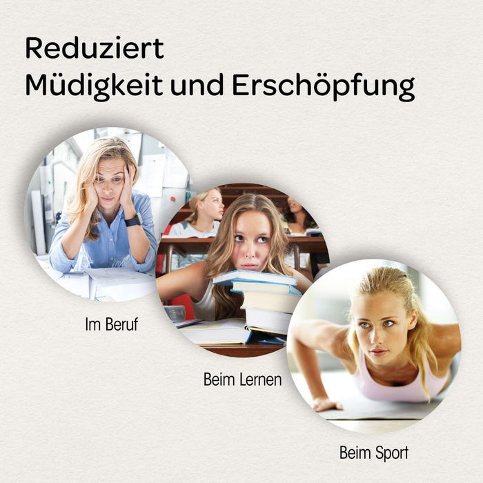 Dr. Böhm Leistungselixier, 14 pc Sachets