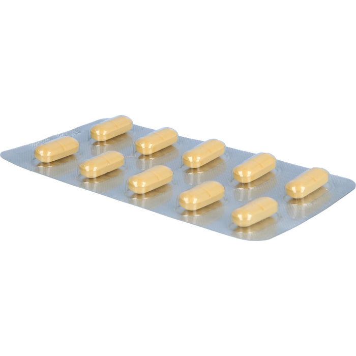 Ginkgo AL 240 mg Filmtabletten für Gedächtnis und Konzentration bei leichter Demenz, 30 pc Tablettes