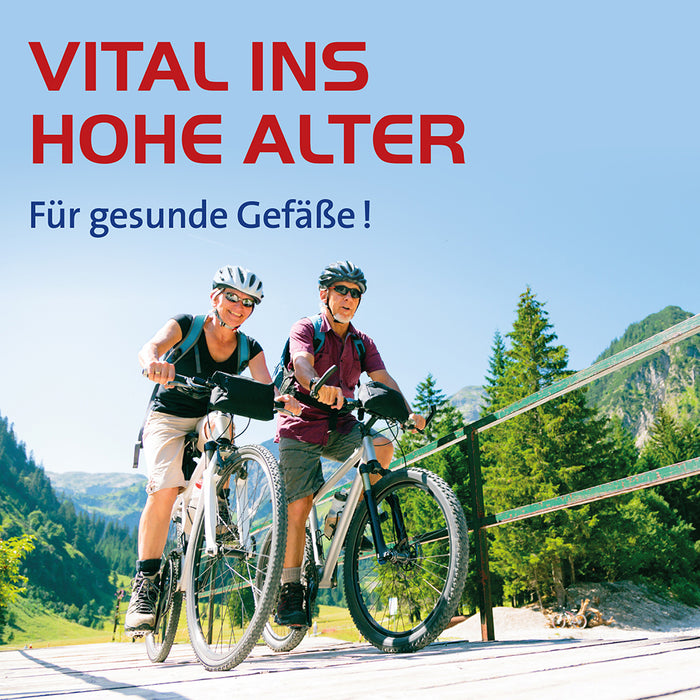 Ginkgo biloba comp. Hevert bei Gefäßverkalkung, 100 ml Solution