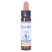 Bachblüten Rock Rose Healing Herbs Tropfen, 10 ml Tropfen