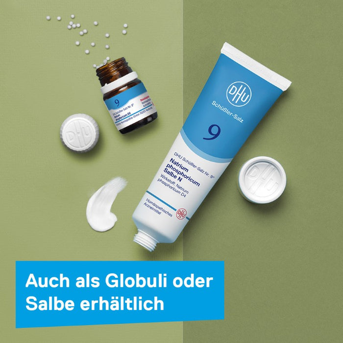 DHU Schüßler-Salz Nr. 9 Natrium phosphoricum D6, 200 St. Tabletten