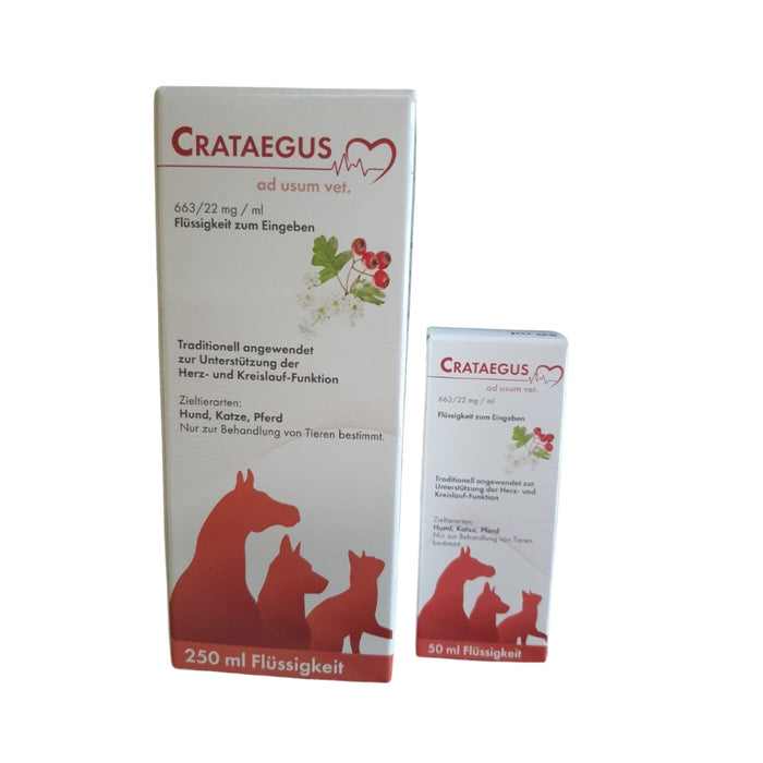DHU Crataegus ad usum vet. Tropfen, 50 ml Solution