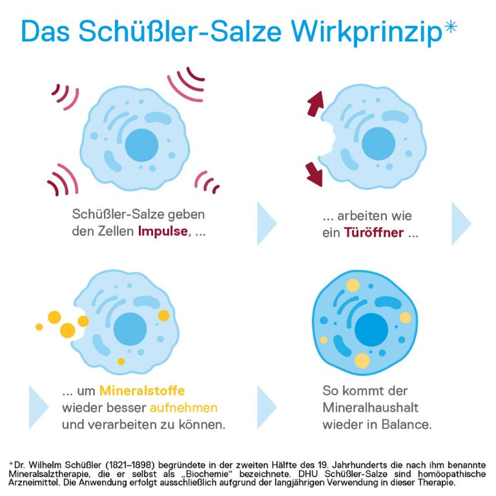 DHU Schüßler-Salz Nr. 9 Natrium phosphoricum D6, 200 St. Tabletten
