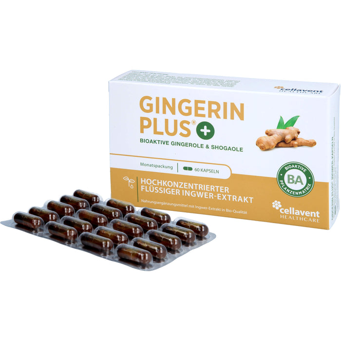 Gingerin Plus hochkonzentriertes flüssiges Ingwer-Extrakt Kapseln, 60 pc Capsules